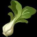 bok choy